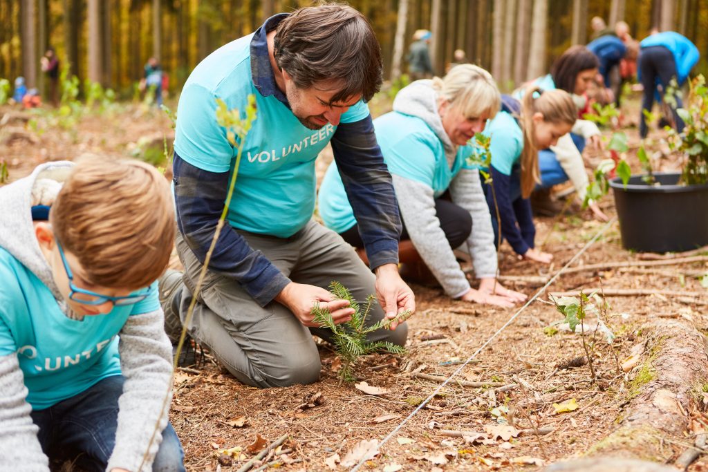 group of volunteers planting trees