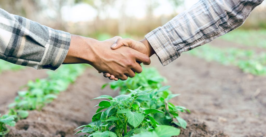 handshake in front of a vegetable field